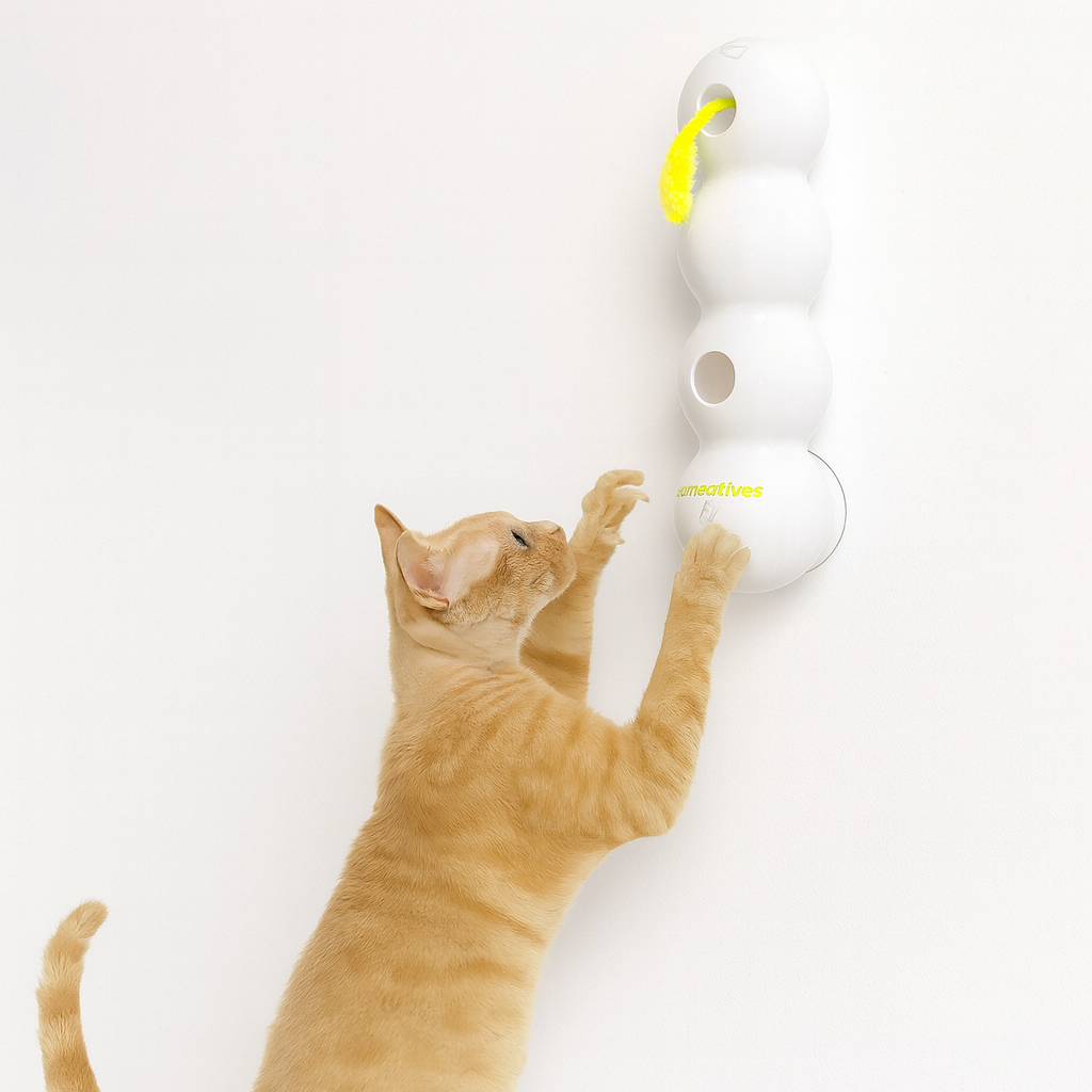 Interactive Feather Cat Toy