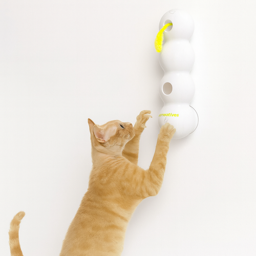 Interactive Feather Cat Toy